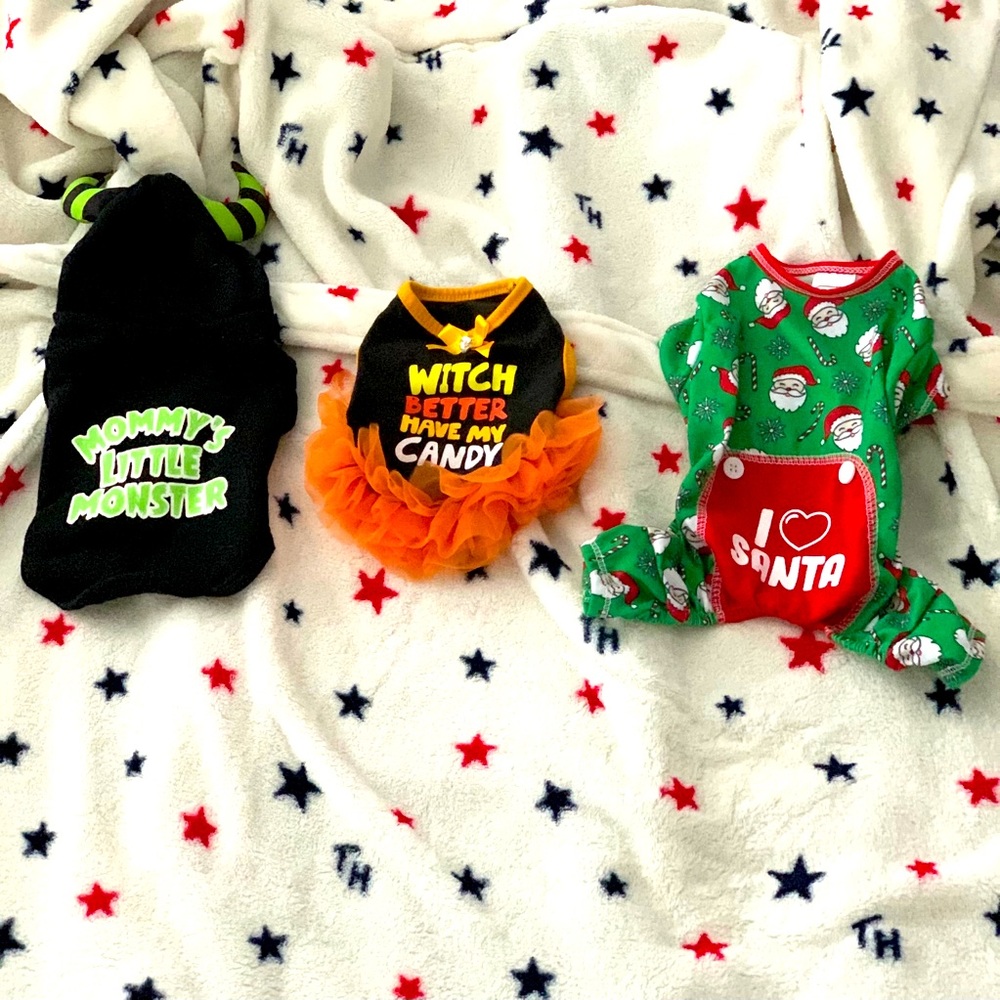 Holiday Pet Wardrobe